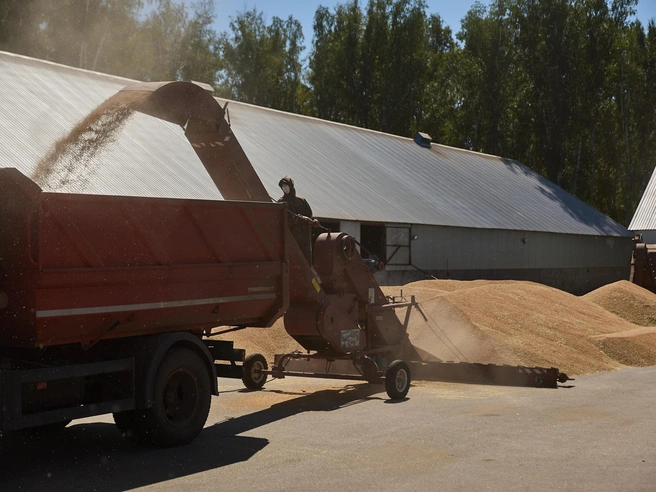 Зерно отправляют через Волго-Донской канал и через железнодорожные пути | Источник: Александр Ощепков / NGS.RU