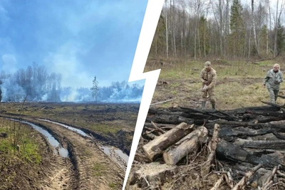 В Ярославской области ликвидировали лесной пожар