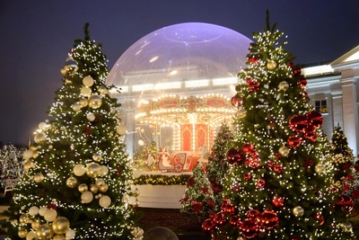 Crocodile Olivier salad, a broken bone, and frozen waterfalls: Novosibirsk residents recall most memorable New Year celebrations