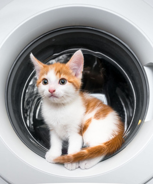 7 вещей, которые ни за что нельзя стирать в стиральной машине
