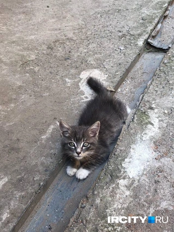 Таким крохой Оззи был, когда очутился в «Акценте» | Источник: «Акцент. Музыкальная рок-школа» / Vk.com