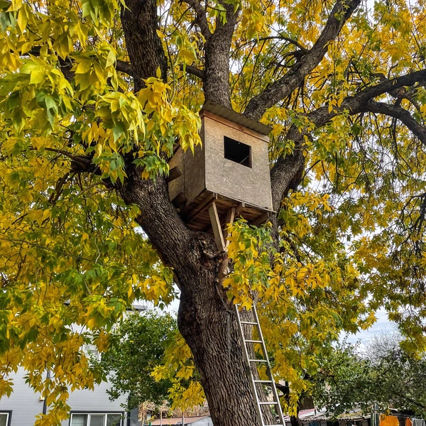 Источник: kizilpasha / T.me