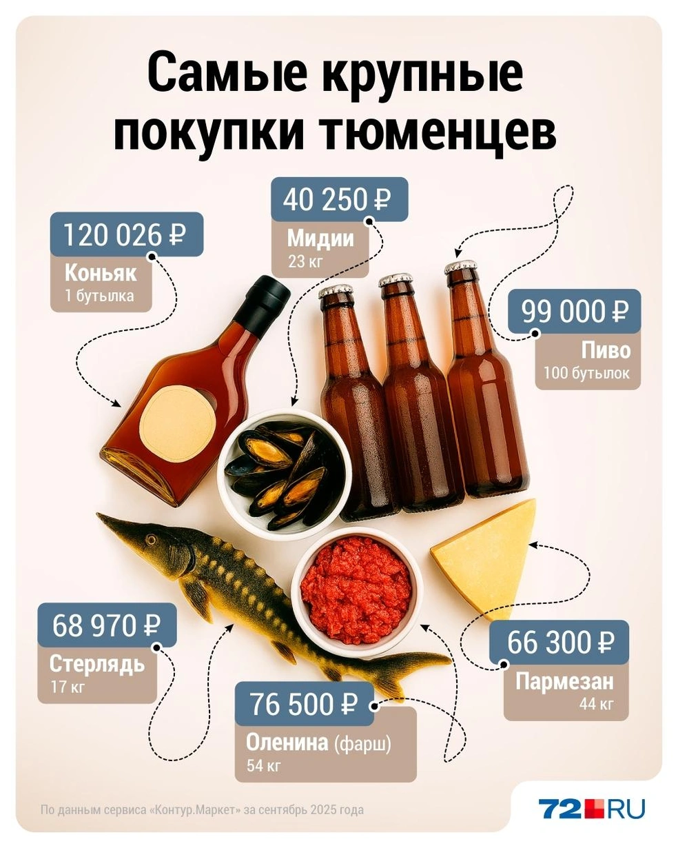 Источник: Дмитрий Гладышев / 72.RU