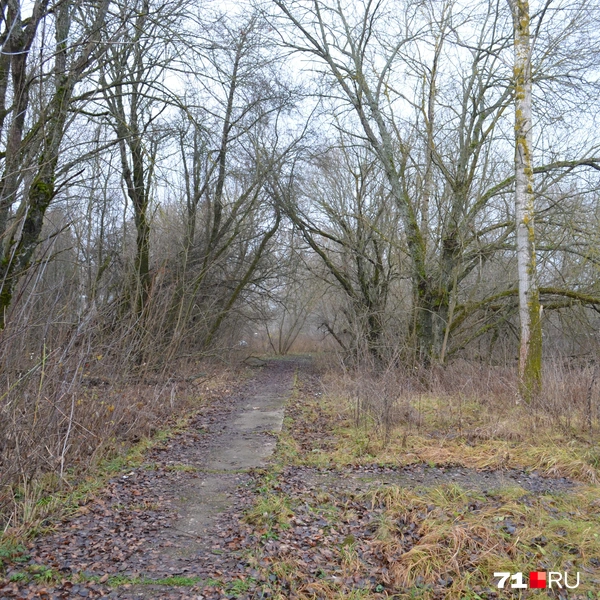 Раньше она была сделана из бетона, но теперь заросла и полуразрушена | Источник: Максим Улитов / 71.RU