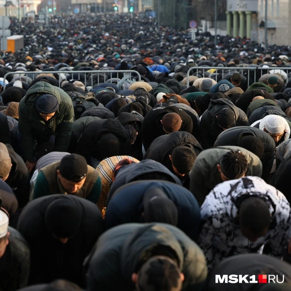Источник: Артем Устюжанин / MSK1.RU