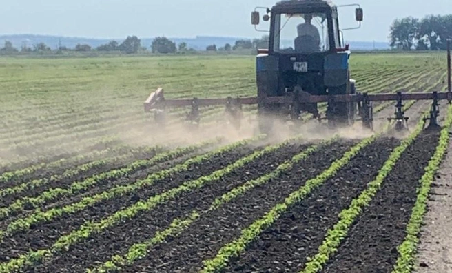 Источник: zao-agrokomplex.ru