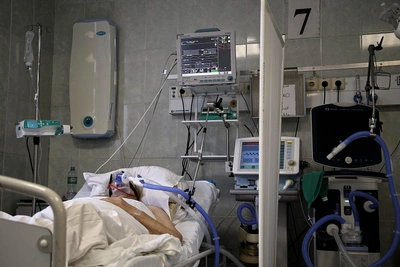 Outbreak of incurable virus in India transmitted by bats. News for January 24