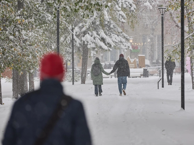 Неожиданное зимнее похолодание в октябре сменилось потеплением к концу месяца | Источник: Александр Ощепков / NGS.RU
