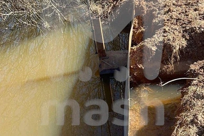 Пруд Долиной обвиняют в загрязнении подмосковного ручья