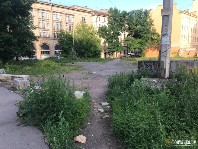 Сытнинская улица автор фото Денис Лебедев / «Фонтанка.ру»