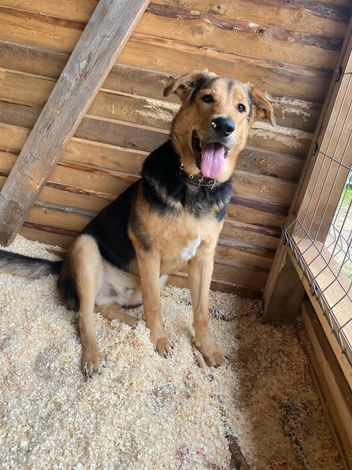 Источник: Юлия Иванова