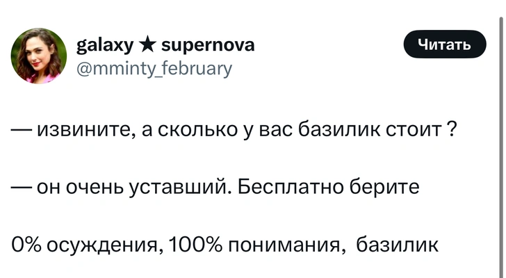 Шутки среды и «уставший базилик»