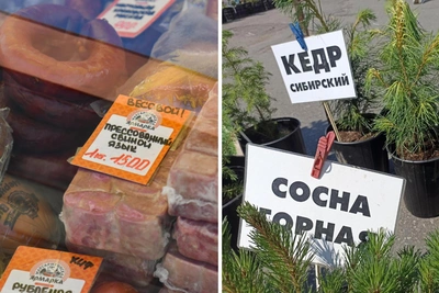 Цены ярмарки в Архангельске: сосны за 12 тыс., язык за 1,5 тыс.