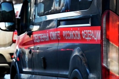 Предприниматель осужден за тур с нападением медведя