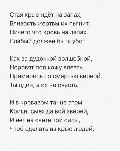 «Стая крыс идет на запах»: вместо комментариев о своем расставании Дмитрий Исхаков пишет стихи о кровавой травле