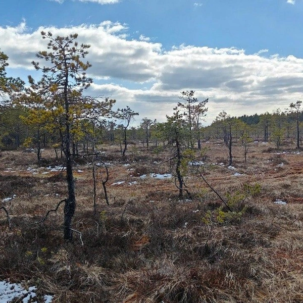 Источник: Каждой твари по паре | Павел Глазков