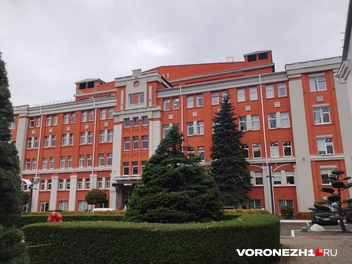 Источник: Дмитрий Волгин / Voronezh1.ru