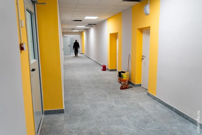 Источник: st.cherinfo.ru
