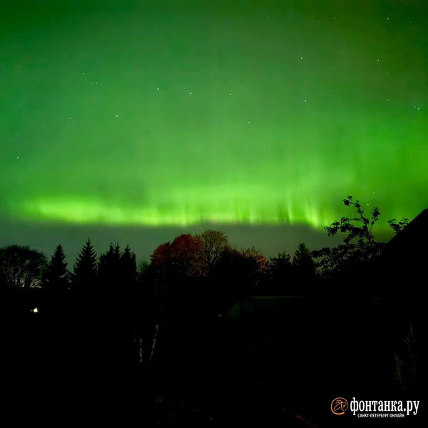 Источник: читательница «Фонтанки» Екатерина