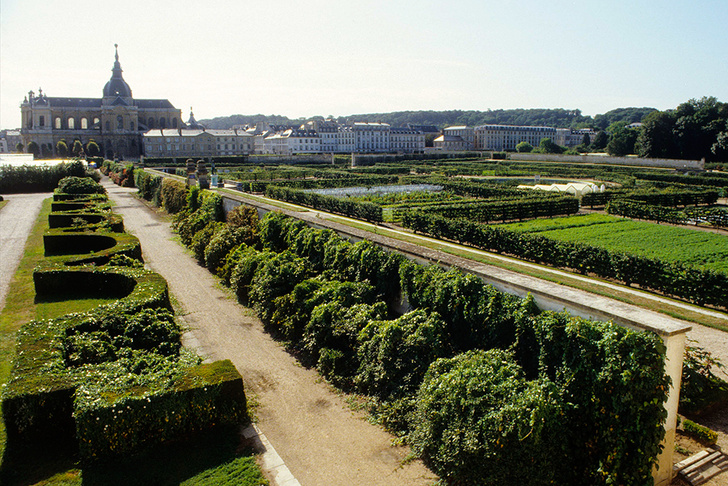 Огород короля в Версале