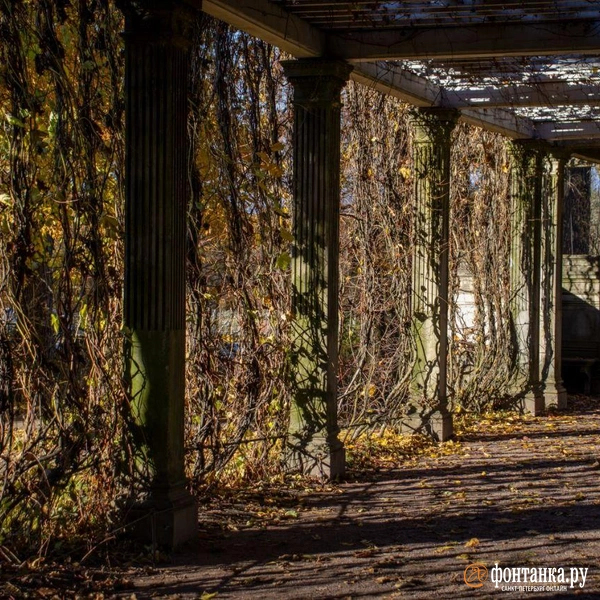 Источник: читатель «Фонтанки»