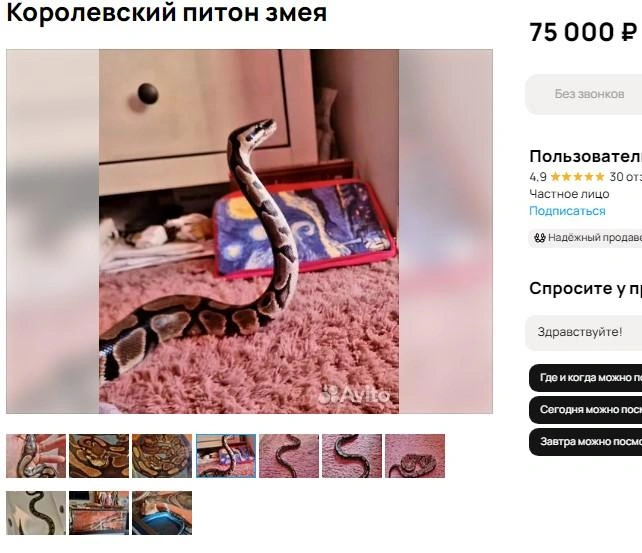 Источник: сайт объявлений