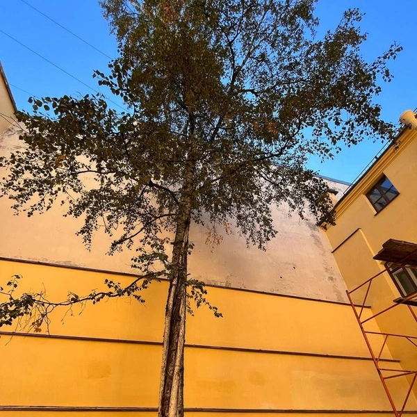 Источник: БС АРТ ДЕВ