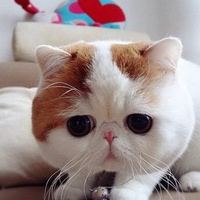 Аватарка Ольга