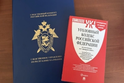 Осужден за нападение на полицейского в Калмыкии