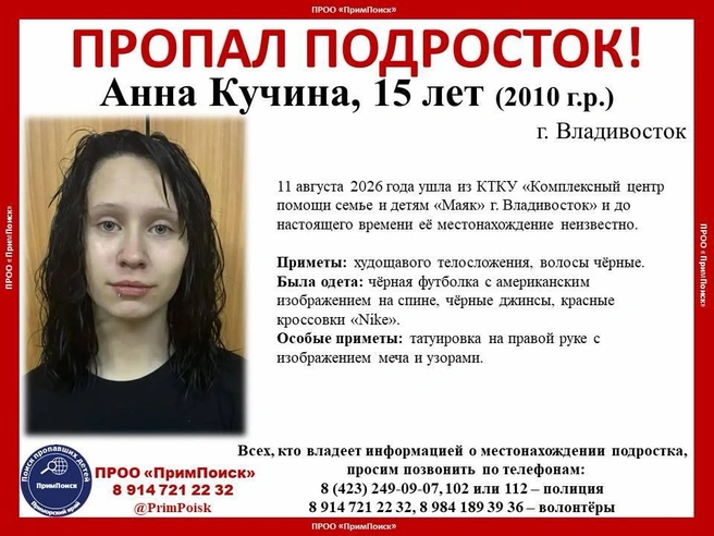 Источник: ПРОО «ПримПоиск» / T.me