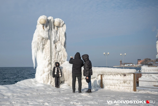 Источник: Елена Буйвол / VLADIVOSTOK1.RU
