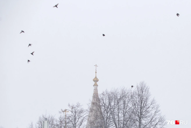 В православии праздники часто связаны с народными приметами, хотя официально церковь их не признает | Источник: Кирилл Поверинов / 76.RU