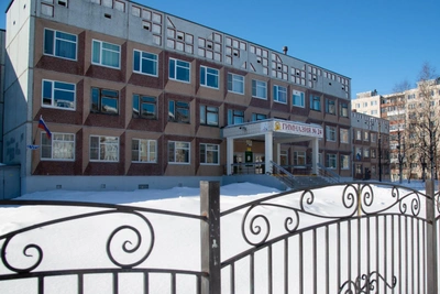 Arkhangelsk schools face quarantine rumors amid flu outbreak