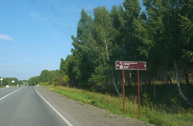 Поездками за город многие решили пожертвовать  | Источник: Стас Соколов\NGS.RU