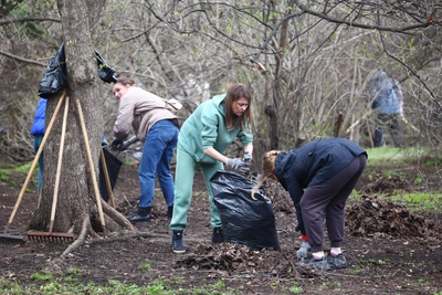 В Мурманской области назвали даты субботников