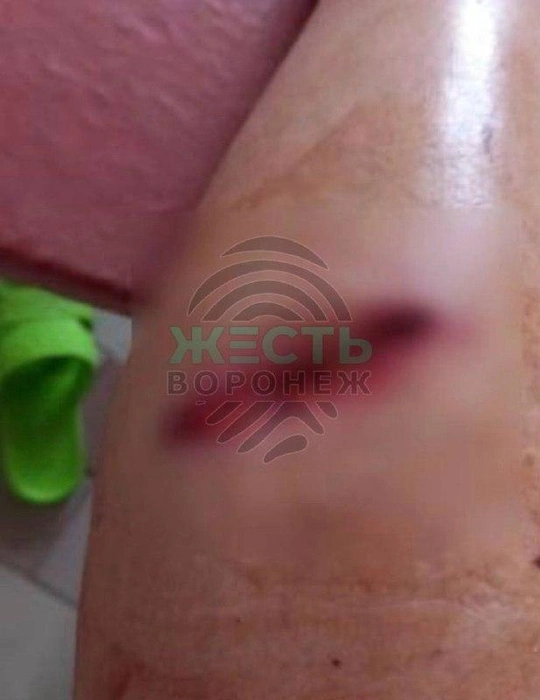 Источник: vk.com/zhest_voronezh