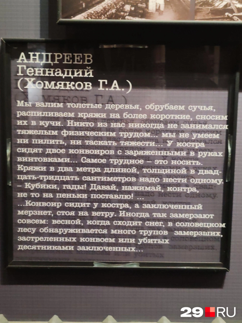 По весне — много трупов | Источник: Елена Ионайтис / 29.RU