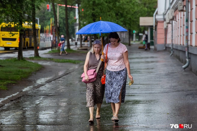 Шорты, дорогие читатели, далеко не убирайте, ведь дожди будут идти на фоне жары | Источник: Кирилл Поверинов / 76.RU