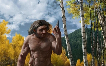 Один череп пролил свет на происхождение Homo longi и денисовцев — ему миллион лет