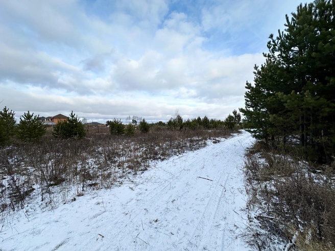 Участок Елены крайний и находится возле леса | Источник: Елена Костомаха