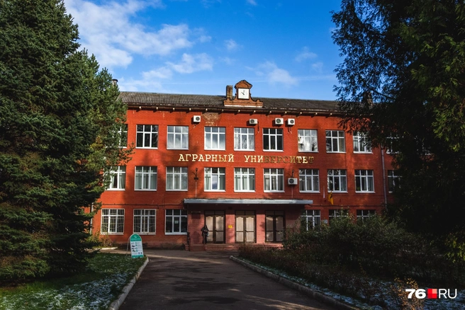 В Аграрный университет подали 5467 заявлений | Источник: Кирилл Поверинов / 76.RU