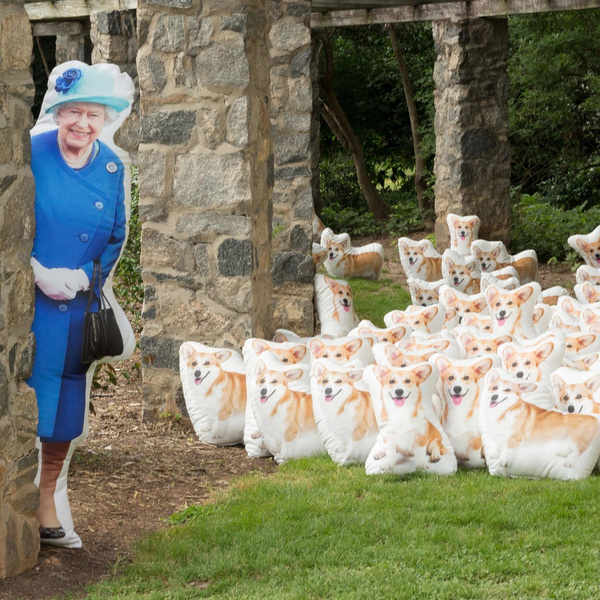 20 самых трогательных фото королевы Елизаветы II с ее любимыми корги
