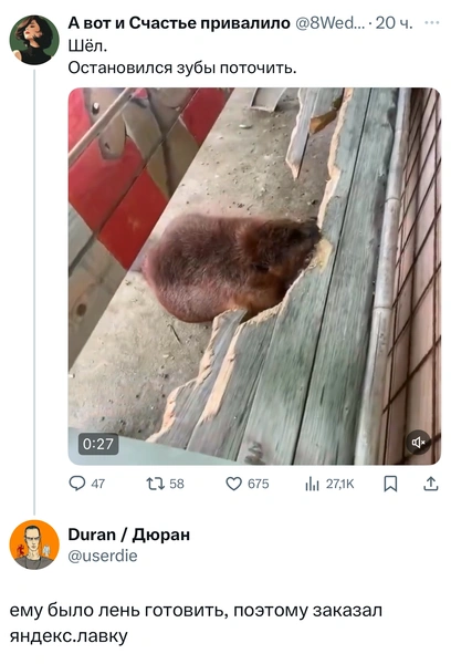 Источник: X (Twitter)