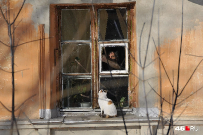 Повезло! В Шадринске скоро отключат отопление | Источник: Надежда Достовалова / 45.RU
