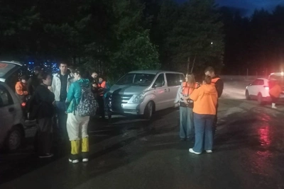 Под Екатеринбургом женщина увязла в болоте и не смогла выбраться — ее искали три дня