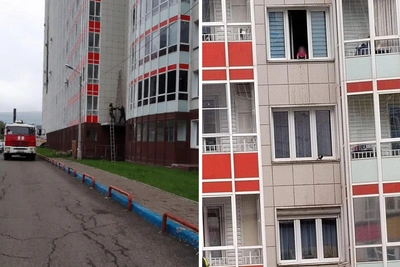 Младенец едва не выпал из окна в Белых Росах