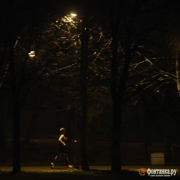 Источник: Марина Мамонтова / «Фонтанка.ру»