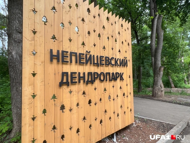 Здесь растёт более 100 видов деревьев и кустарников | Источник: Андрей Бирюков / UFA1.RU