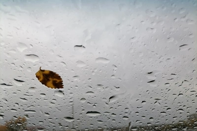 В Забайкалье на выходных до +11 градусов и мокрый снег