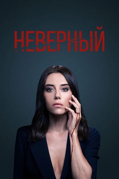 3 лучших сериала с Таро Эмиром Текином из сериала «Зимородок»